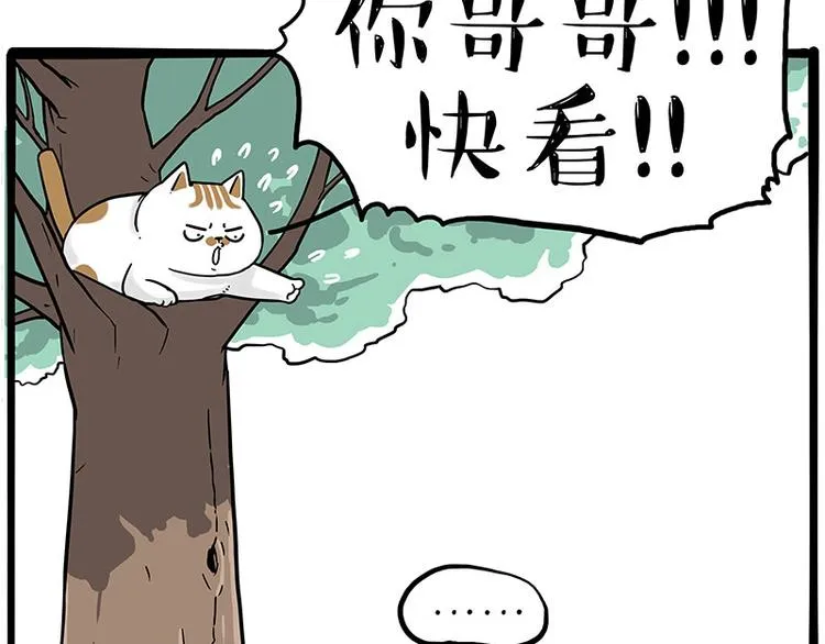 第270话 胖老猫你个大骗子！0