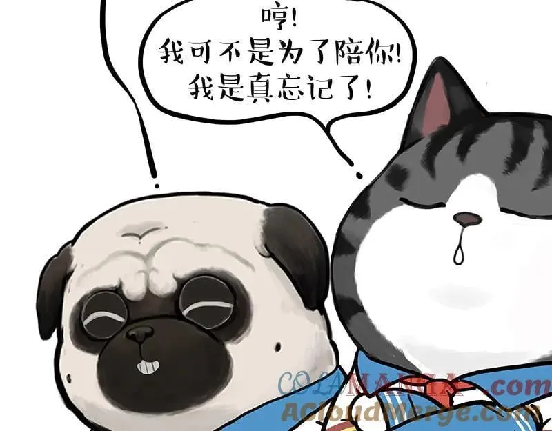 吾皇巴扎黑头像漫画,第428话 忘带了3图