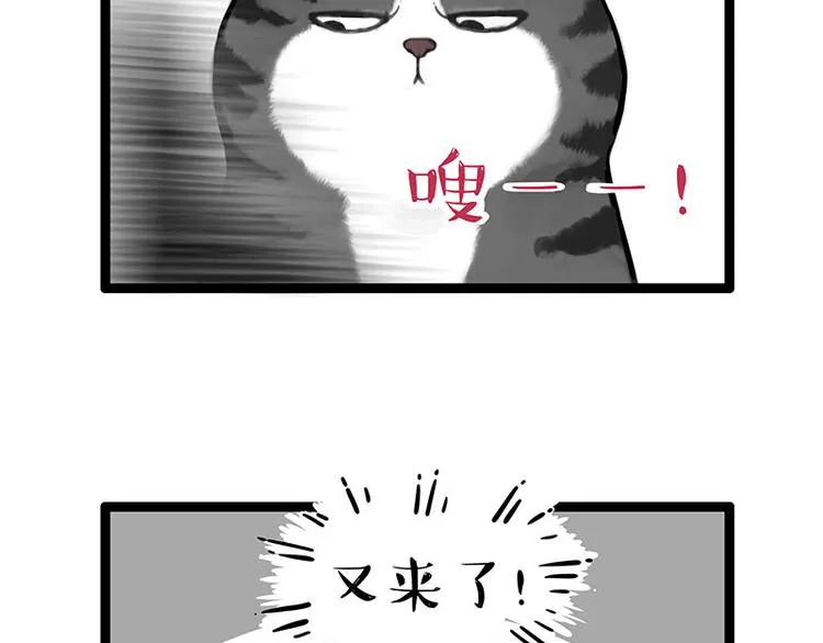 吾皇巴扎黑老爹的花瓶漫画,第260话 孤独解药5图