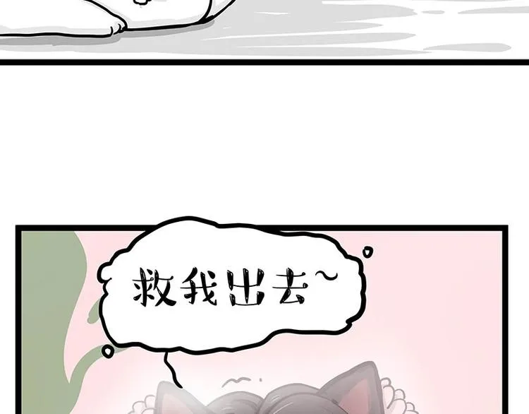 吾皇巴扎黑表情包漫画,第284话 美喵竟是我自己2图