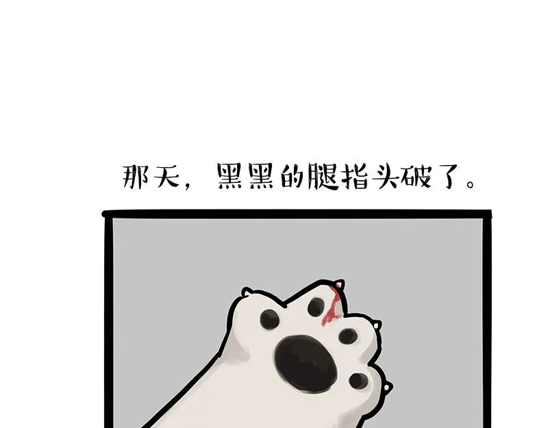 吾皇巴扎黑漫画书漫画,第300话 狗也有文化5图