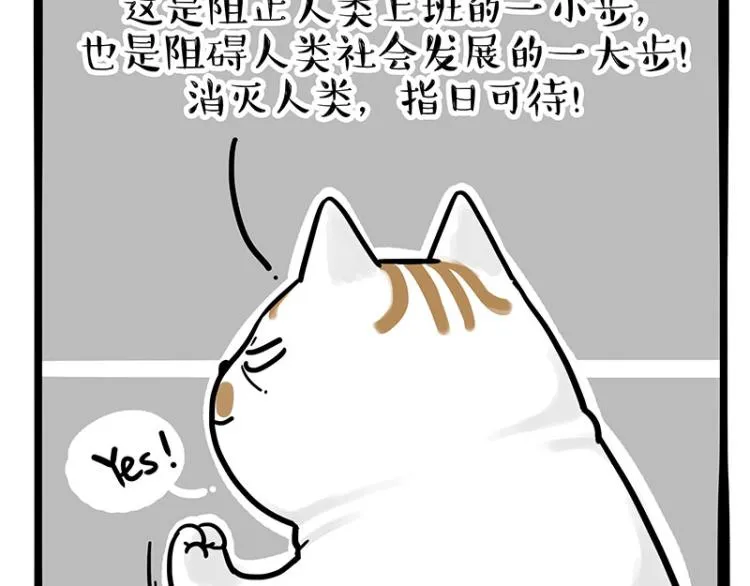 第290话 凶恶猫猫组织4