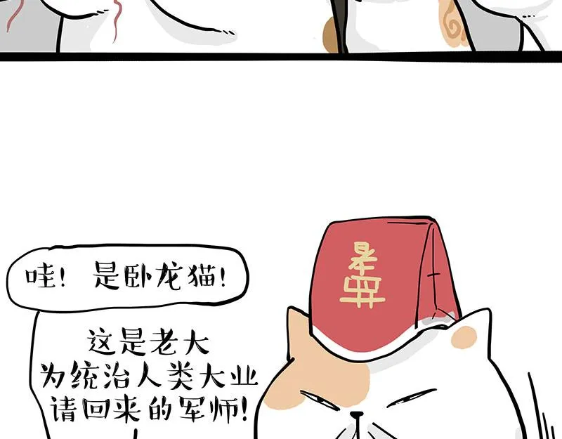 吾皇巴扎黑环游世界盲盒漫画,第320话 猫孵鱼2图