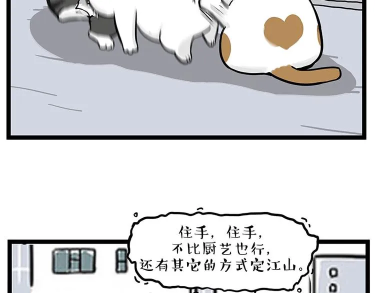 第277话 猫斗猫0