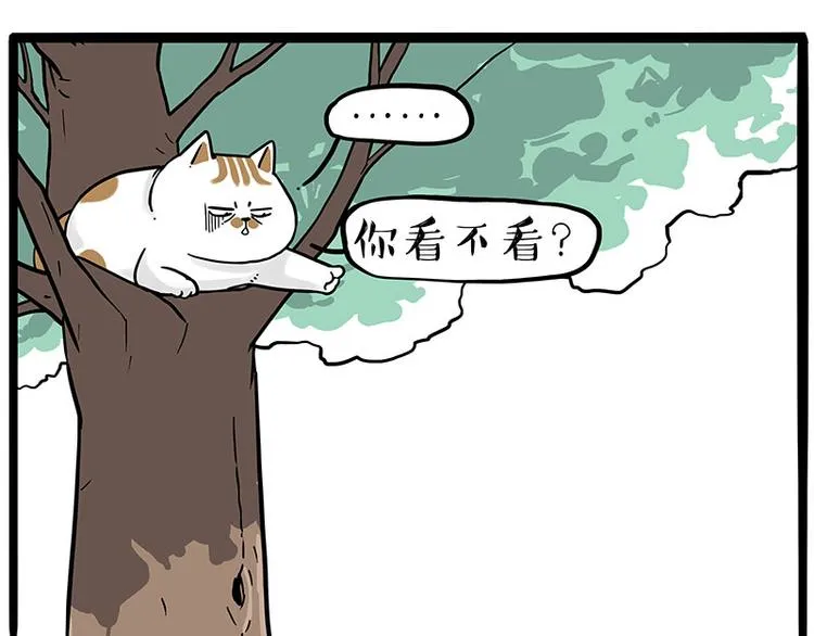 第270话 胖老猫你个大骗子！1