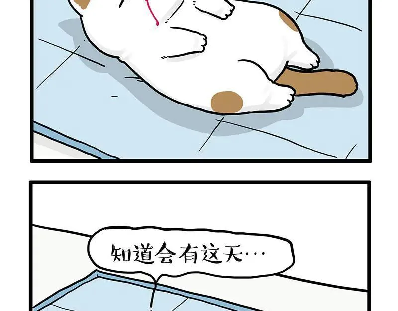 吾皇巴扎黑漫画,第441话 不要出卖老大！4图