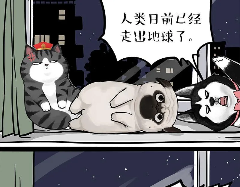 吾皇巴扎黑音乐盲盒漫画,第299话 真假虚实4图