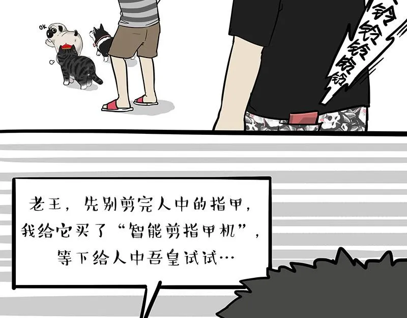 吾皇巴扎黑动漫全集漫画,第334话 人中失踪了！4图