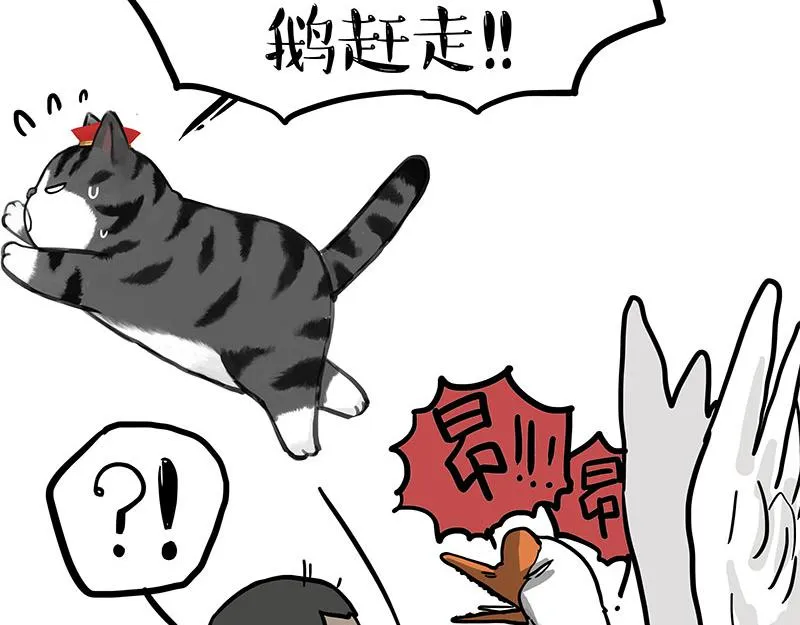 吾皇巴扎黑盲盒漫画,第340话 自我攻略2图