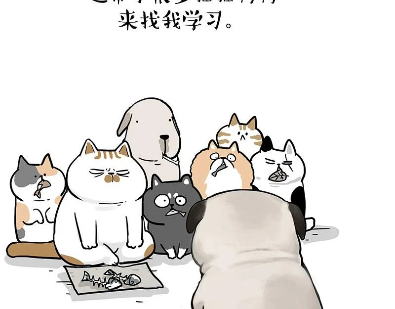 吾皇巴扎黑高清壁纸漫画,第365话 “神犬”巴扎黑2图