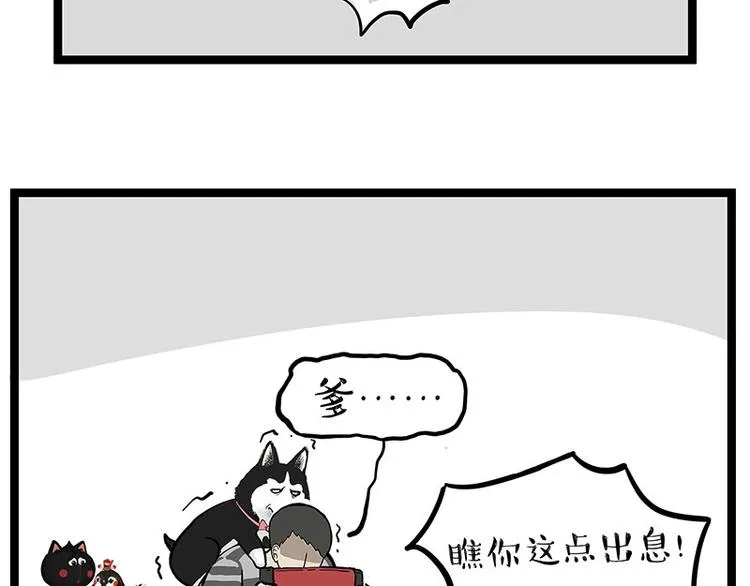 吾皇巴扎黑简介漫画,第261话 灭蟑？3图