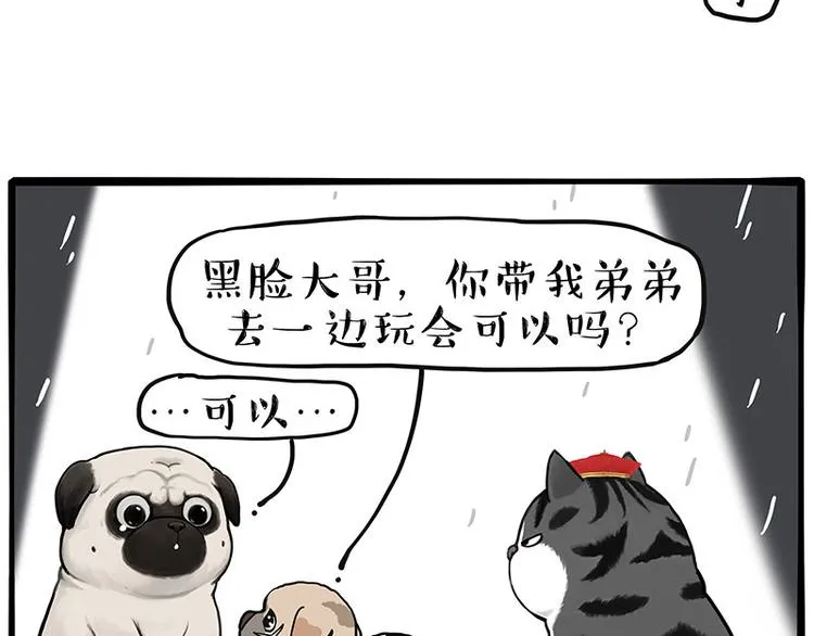 吾皇巴扎黑音乐盲盒漫画,第267话 不让你流浪2图