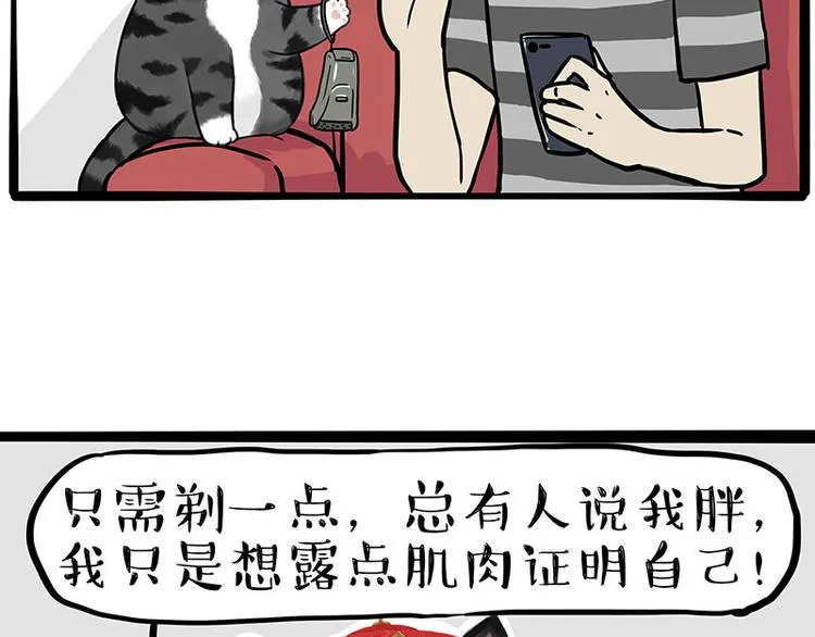 吾皇巴扎黑漫画书漫画,第282话 型男（猫）4图