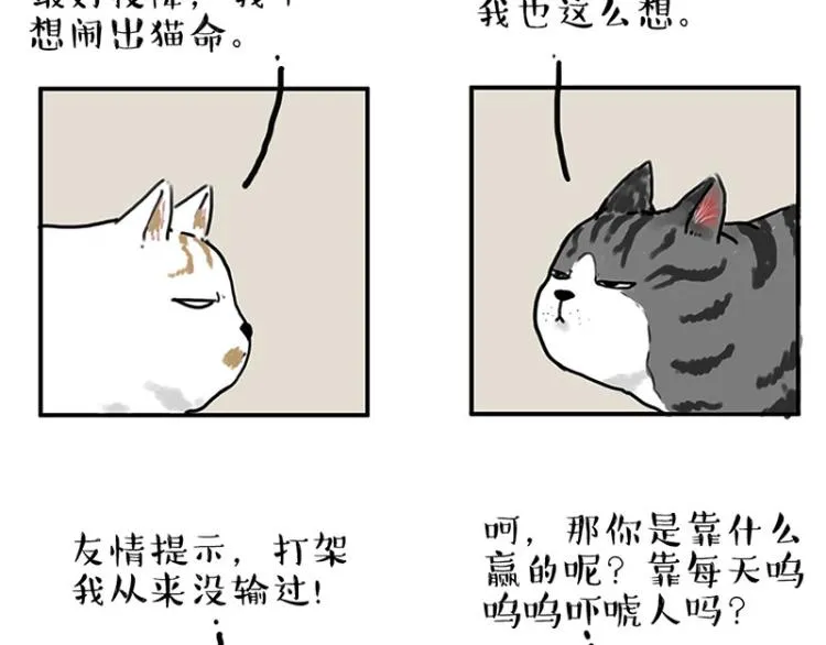 吾皇巴扎黑音乐盲盒漫画,第291话 好兄弟，一辈子2图