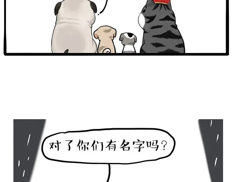 吾皇巴扎黑高清壁纸漫画,第267话 不让你流浪4图