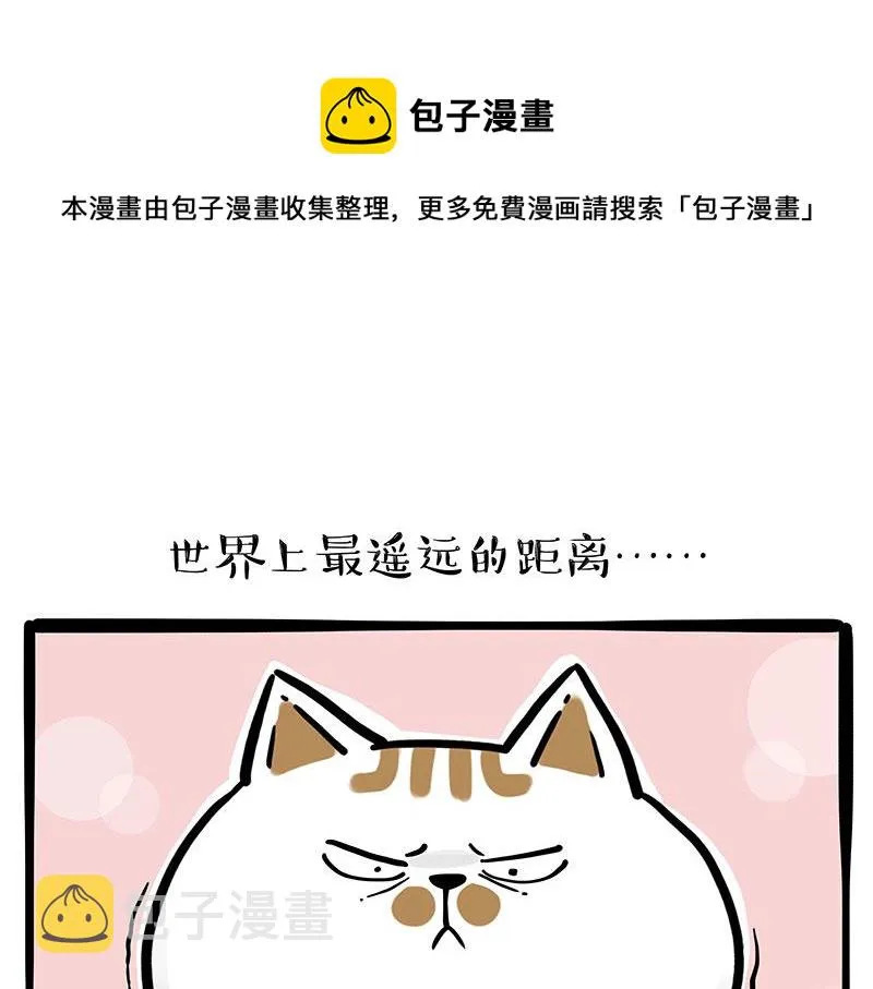 吾皇巴扎黑漫画,第320话 猫孵鱼1图