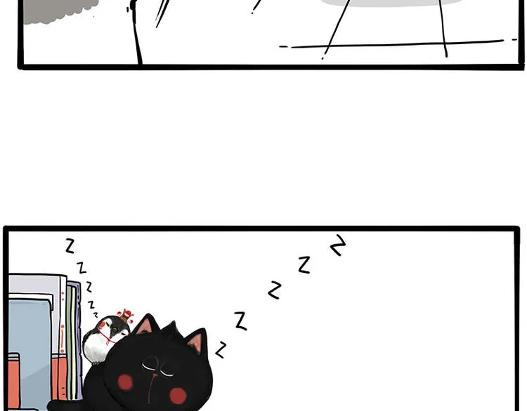 吾皇巴扎黑漫画,第270话 胖老猫你个大骗子！5图