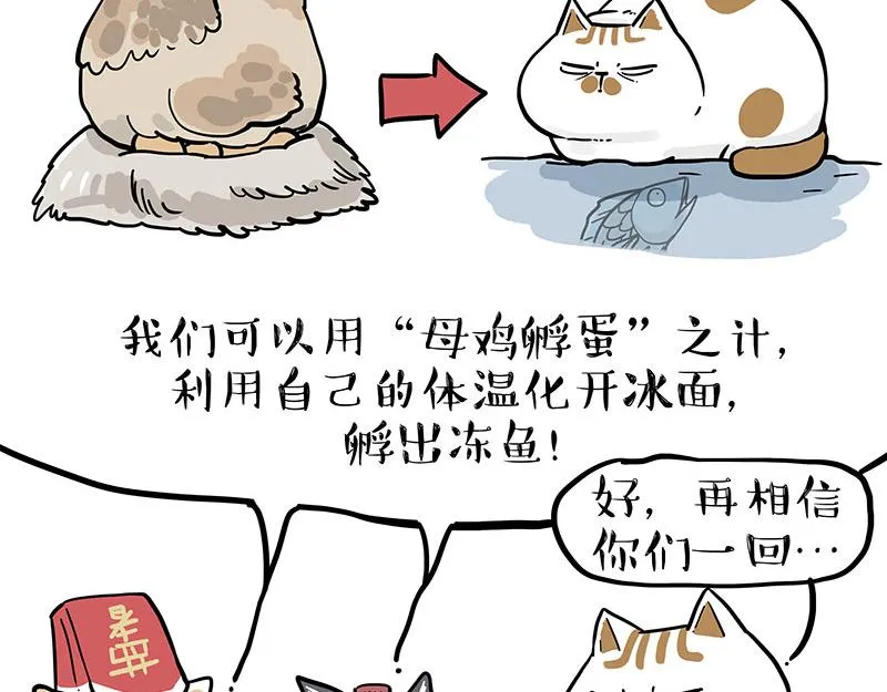 吾皇巴扎黑环游世界盲盒漫画,第320话 猫孵鱼2图