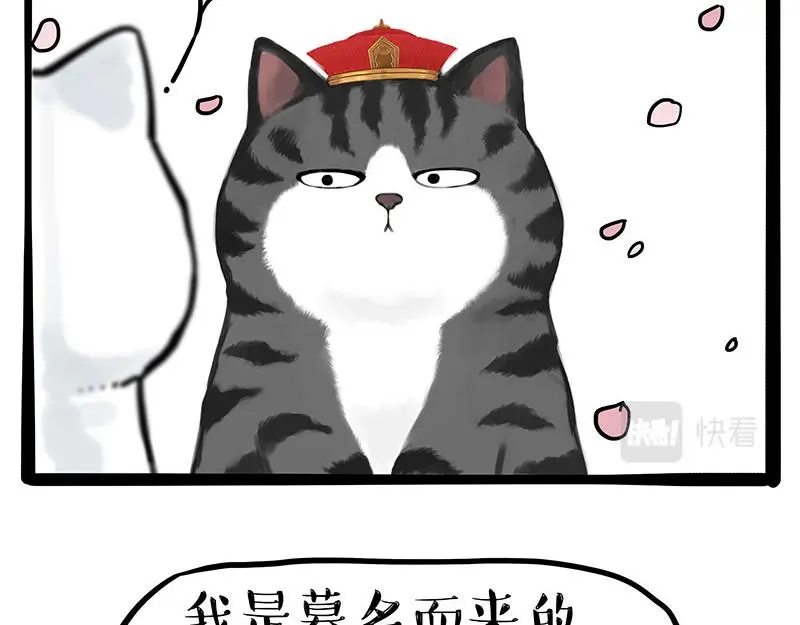 吾皇巴扎黑头像漫画,第323话 春日恋情？！5图