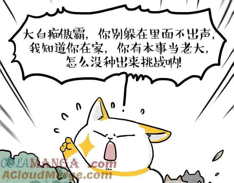 吾皇巴扎黑漫画,第442话 逆风的挑战5图