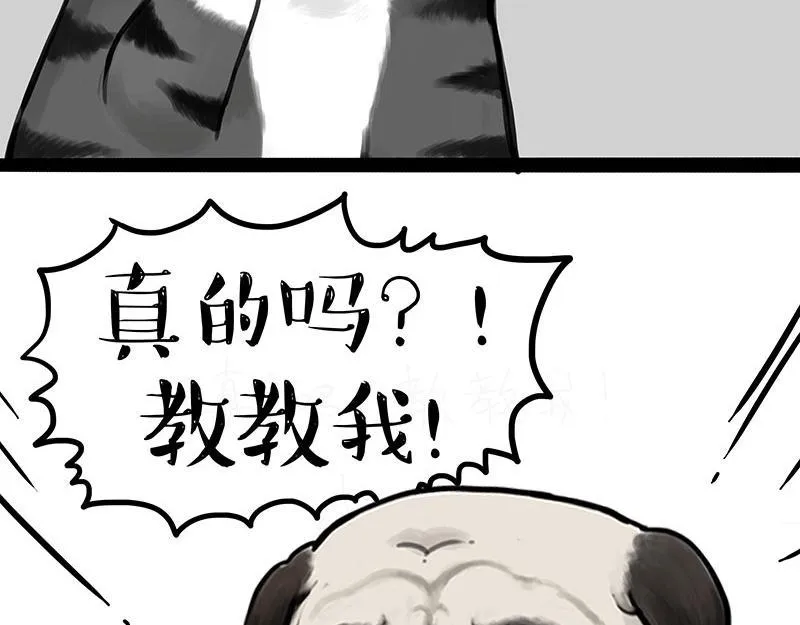 吾皇巴扎黑壁纸漫画,第367话 都不是事儿2图