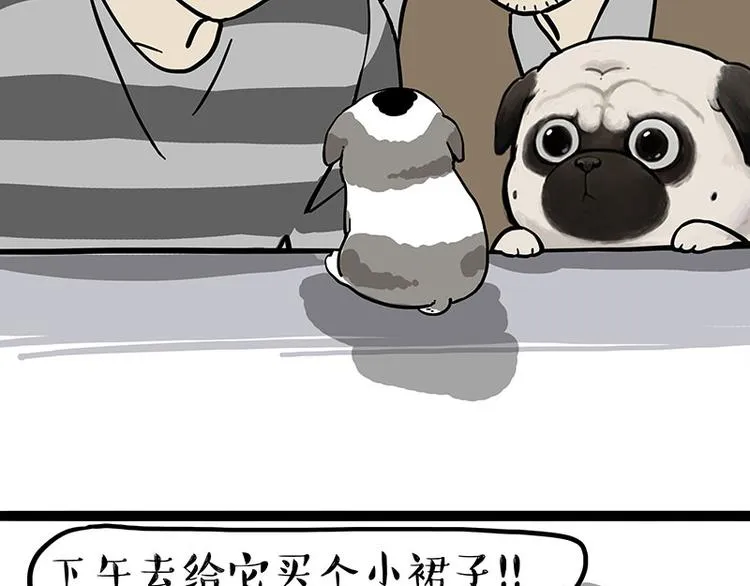 吾皇巴扎黑图片漫画,第269话 跟我回家吧1图