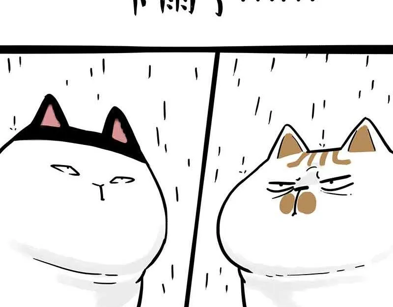 巴扎黑漫画,第359话 猫洛芬5图