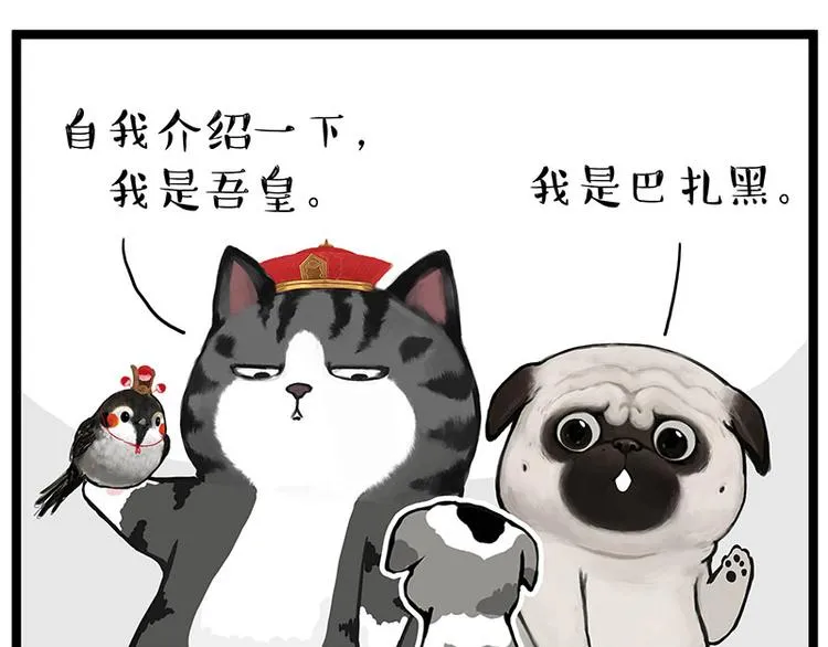 吾皇巴扎黑漫画,第269话 跟我回家吧1图