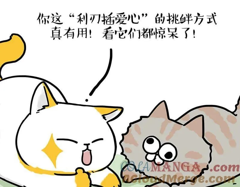 吾皇巴扎黑漫画大中华史漫画,第442话 逆风的挑战2图