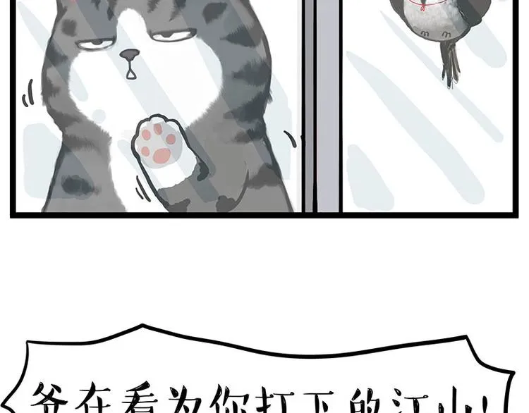 吾皇巴扎黑漫画,第277话 猫斗猫3图