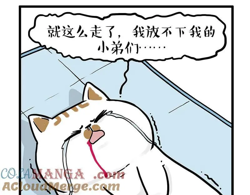 吾皇巴扎黑漫画漫画,第441话 不要出卖老大！2图