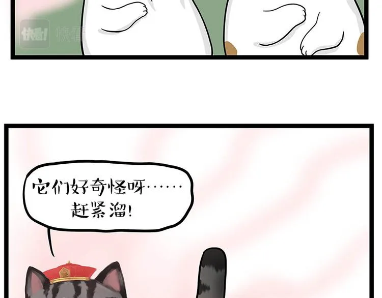 吾皇巴扎黑壁纸漫画,第284话 美喵竟是我自己2图