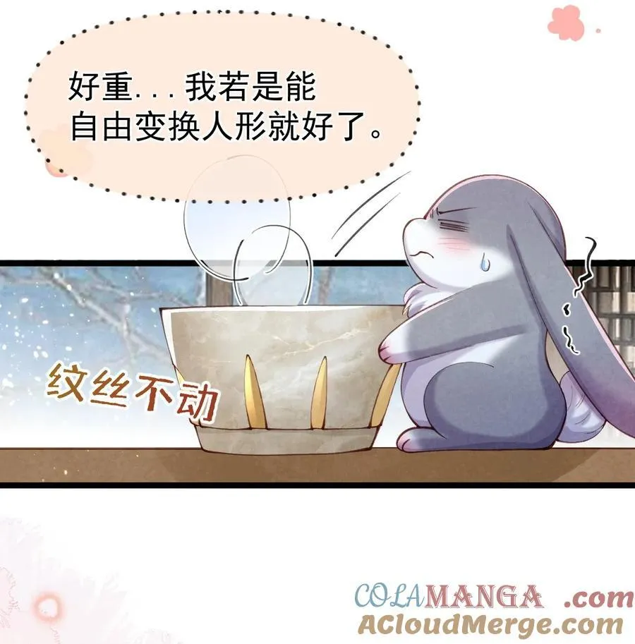 贡品的求生之路漫画,08 良药苦口5图