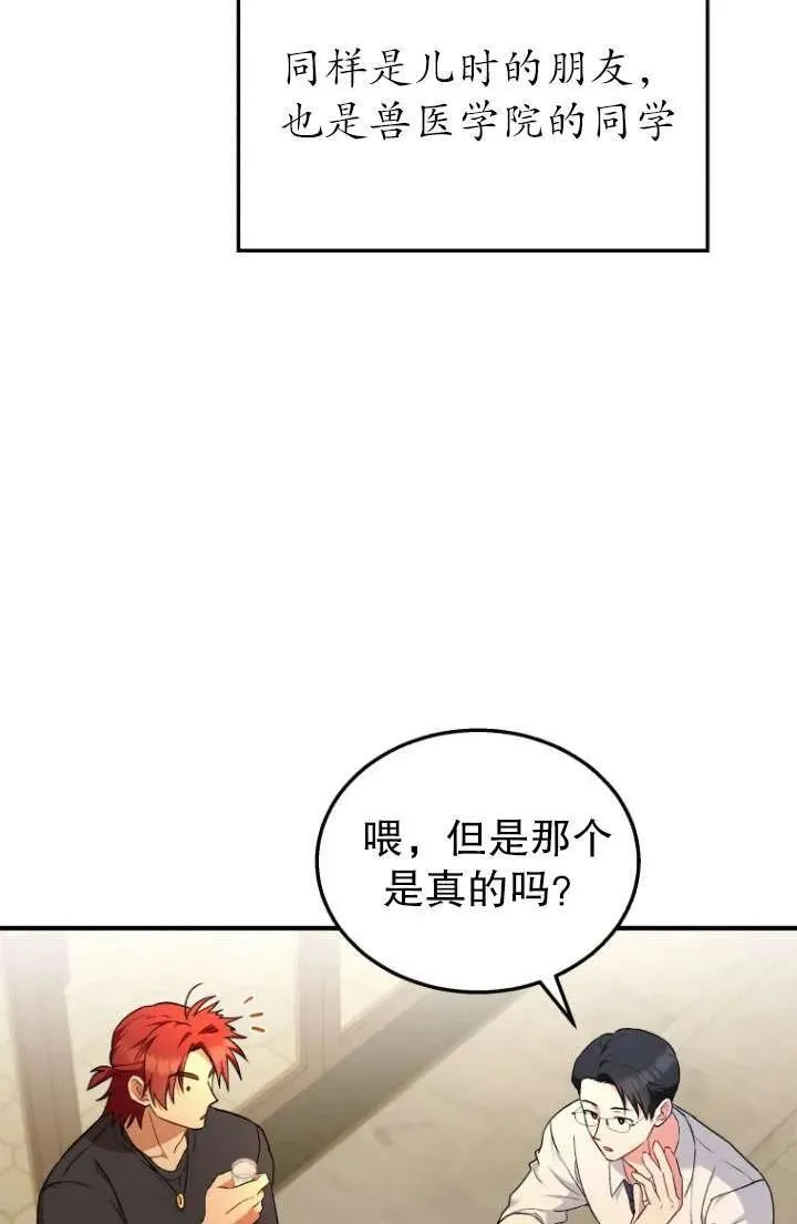 兽医先生你好有没有第二季漫画,第06话1图