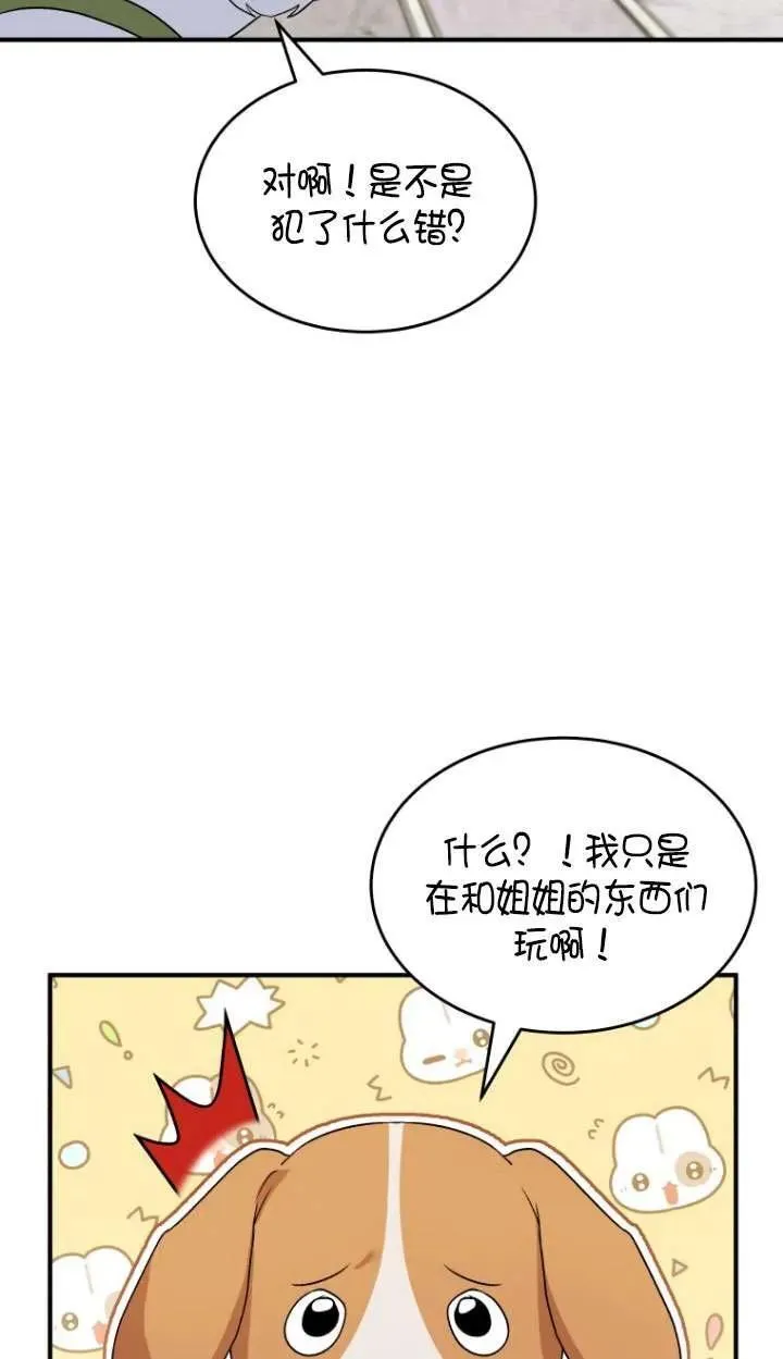 兽医先生你好漫画在哪个软件漫画,第09话4图