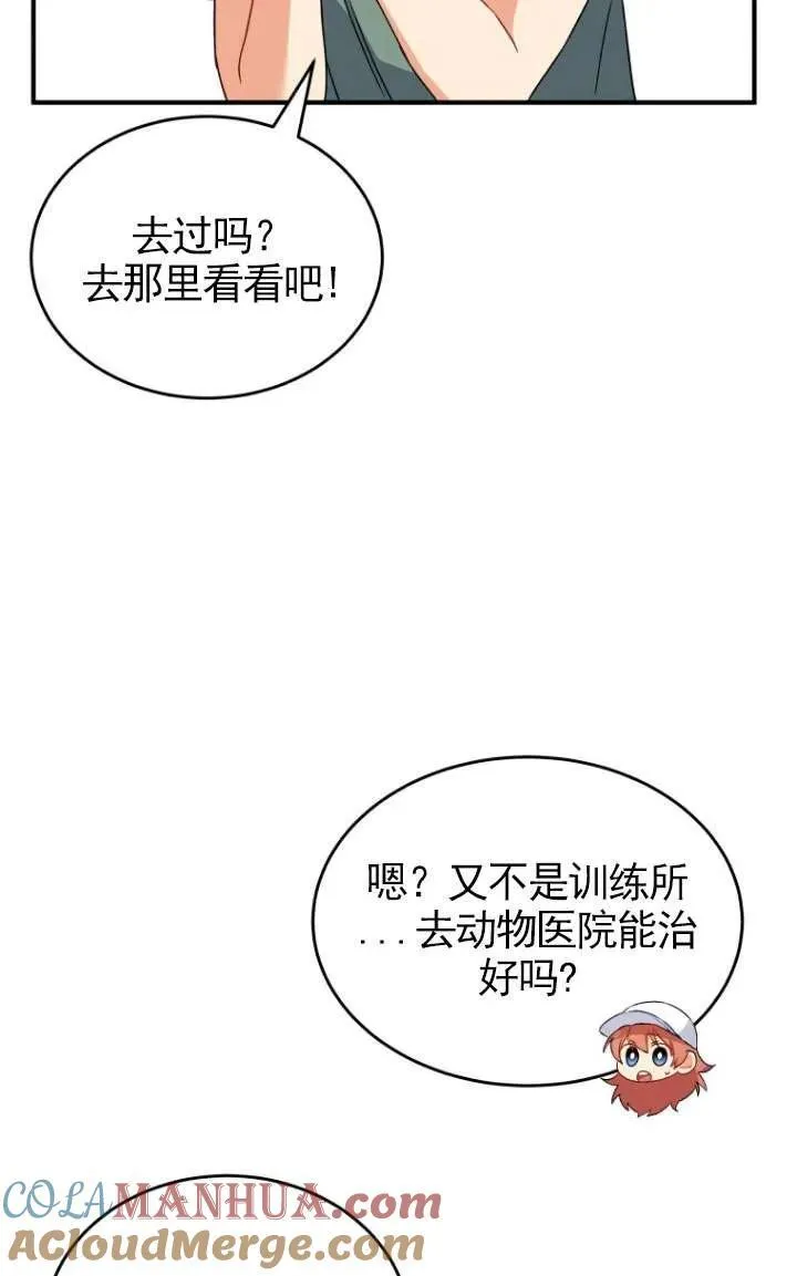 兽医先生你好漫画在哪个软件漫画,第09话5图