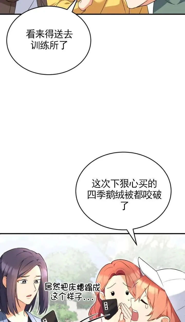 兽医先生你好漫画在哪个软件漫画,第09话5图