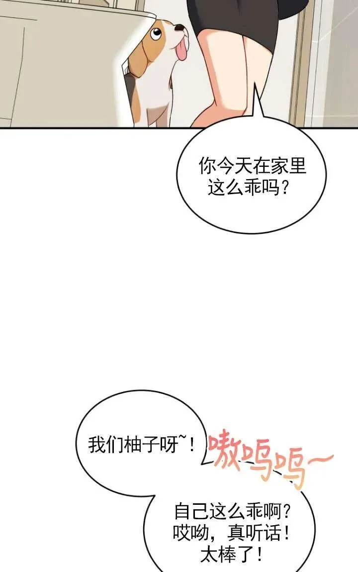 兽医先生你好漫画在哪个软件漫画,第09话5图