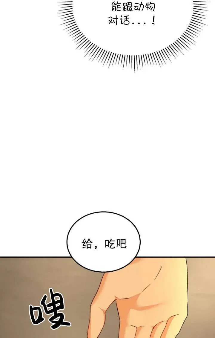 兽医先生你好有没有第二季漫画,第06话4图