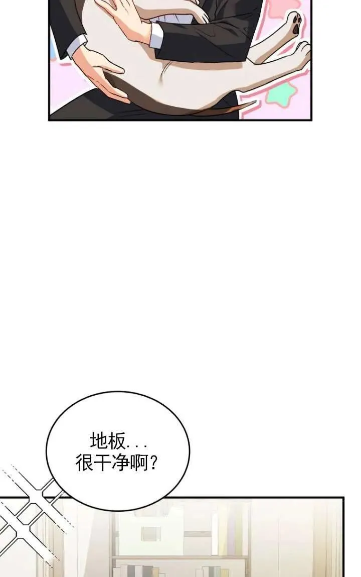 兽医先生你好漫画在哪个软件漫画,第09话2图