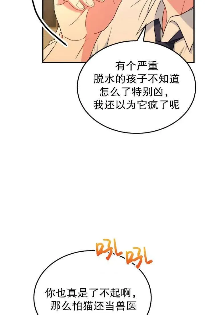 兽医先生你好有没有第二季漫画,第06话3图