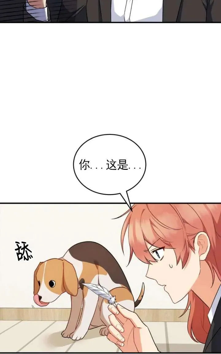 兽医先生你好漫画在哪个软件漫画,第09话3图