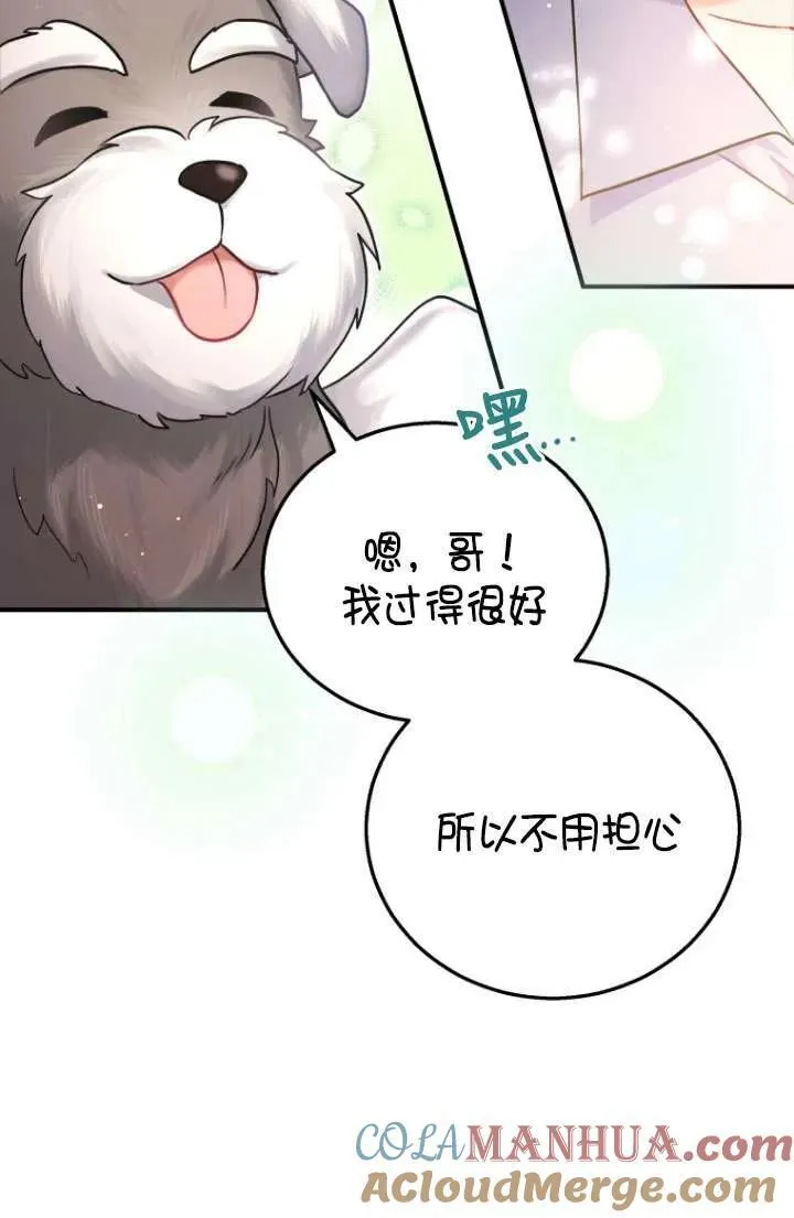 兽医先生你好韩漫漫画,第01话5图