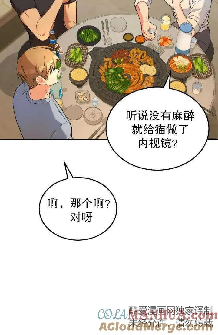 兽医先生你好有没有第二季漫画,第06话2图