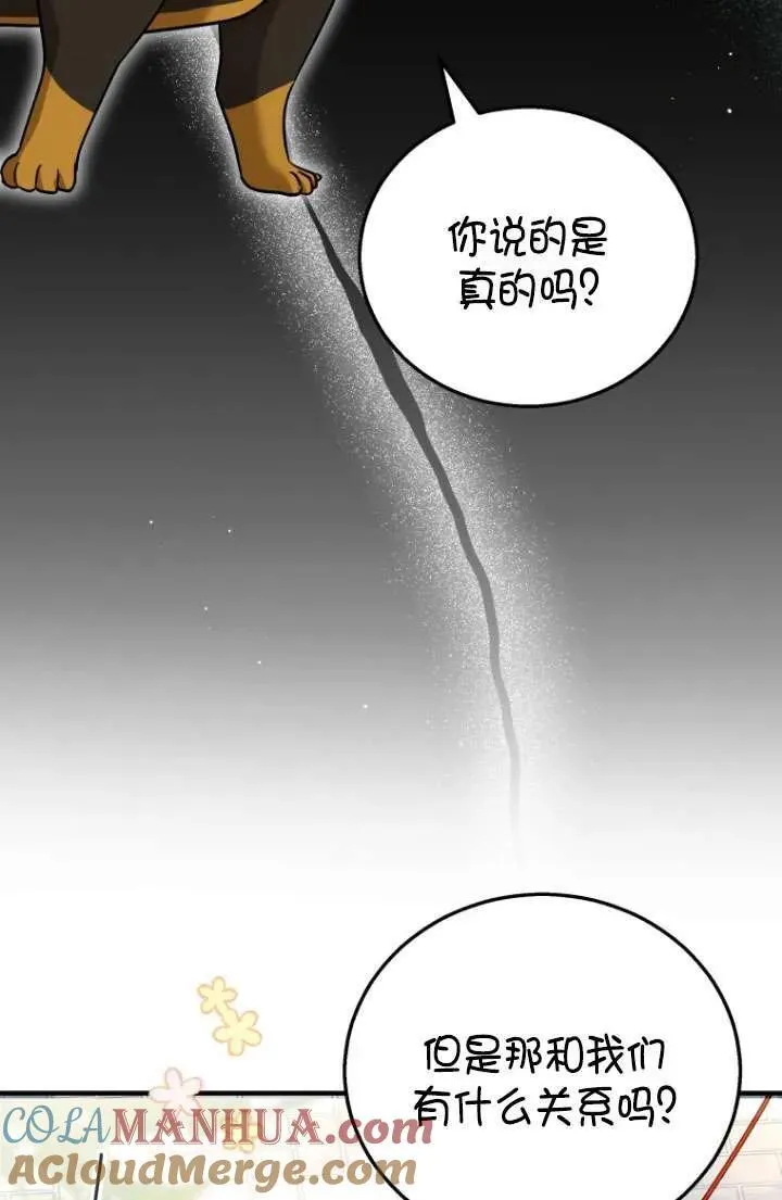 兽医先生！你好？漫画,第01话5图