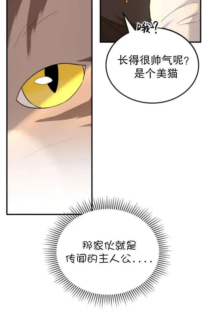 兽医先生你好有没有第二季漫画,第06话5图