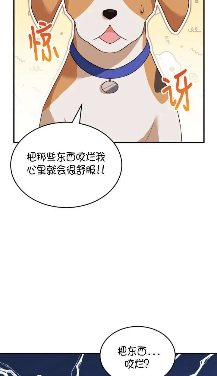 兽医先生你好漫画在哪个软件漫画,第09话5图