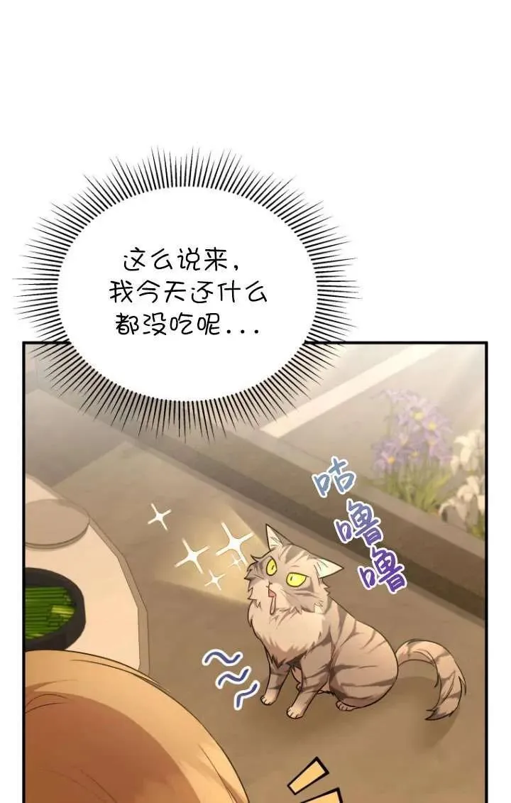 兽医先生你好有没有第二季漫画,第06话5图