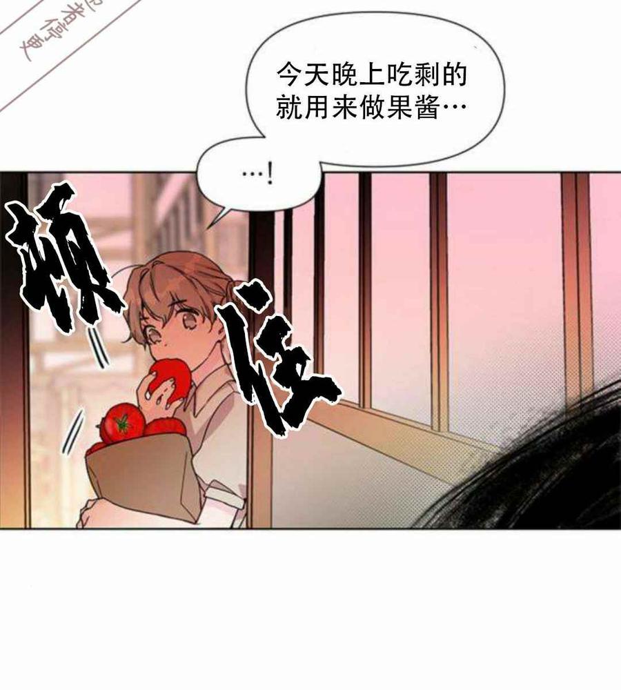 淑女女骑士的生活法则漫画,第3话 格林西的连环杀人魔（1）4图