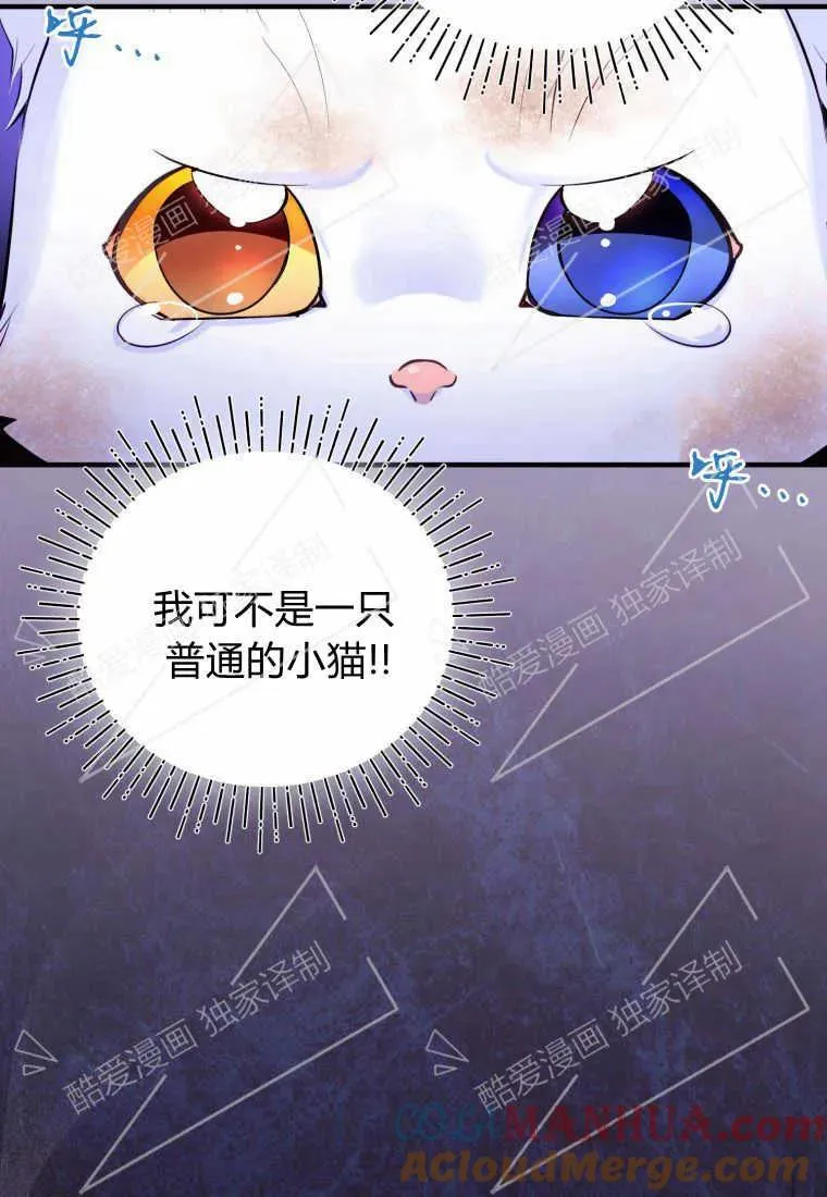 成为苏尔坦珍爱的猫咪漫画免费观看漫画,第02话3图